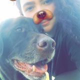 Perkasie Petsitter Searching for Job Opportunities in Pennsylvania
