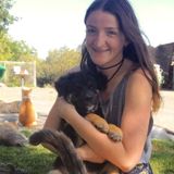Excellent Pet Care Provider