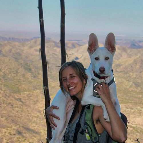 Pet Care Provider Sierra H's Profile Picture