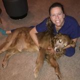 Loving pet care provider and nurturer