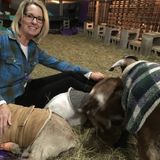 Capable House and Pet Sitter in Marco Island