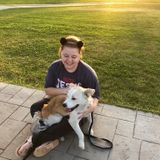Pet Sitter of Your Dreams