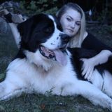 Available For Pet Walking, Exercise Managing and In Home Pet Sitting