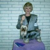 Seasoned professional pet sitter/house sitter