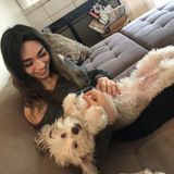Passionate Pet Sitter in Canoga Park/Valley Area