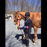 Available: Very well pet sitting in Ephrata, Pennsylvania