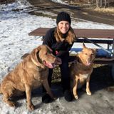 Loving Pet Service Provider in Edmonton, Alberta