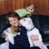 Compassionate Animal Lover providing pet care in Cobourg, Port Hope & area