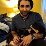 Searching for Patchogue Pet Carer, New York Jobs
