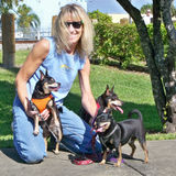 Will give love to your dogs and care for their home.