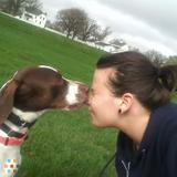 Pet sitting and house sitting