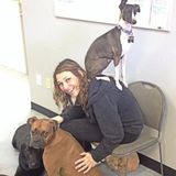 Highly experienced animal caretaker