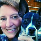 Groton, Connecticut Veterinary Technician/ Petsitter