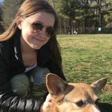 Advance Pet Groomer Looking For Job Opportunities in North Carolina