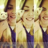 Working veterinary assistant - dogs, cats, exotics, rabbits, birds