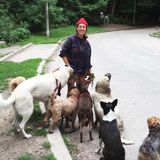 For Hire: Trustworthy Pet care giver and dog walker in Saskatoon and area.