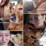 Available: pet sitter with over 5 years of experience