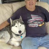 I'm a senior person with experience in pets used to work as kennel assistance in a Vet clinic in lady lake