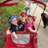 Work Opportunity: a reliable live-out ft nanny for 18 month old triplets in Waterloo, Ontario