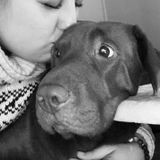 Best Kept Friend Pet Care