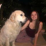 Available: Flexible Dog Walker and Pet Sitter in Orland Park, Illinois