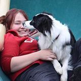 Looking to learn how to best serve you and your pets, Its the little things that cause big changes!