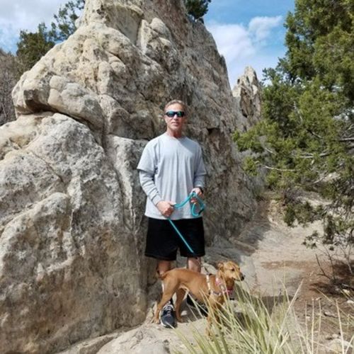 Interviewing For Dog Walking or Pet Sitting Job in Colorado Springs