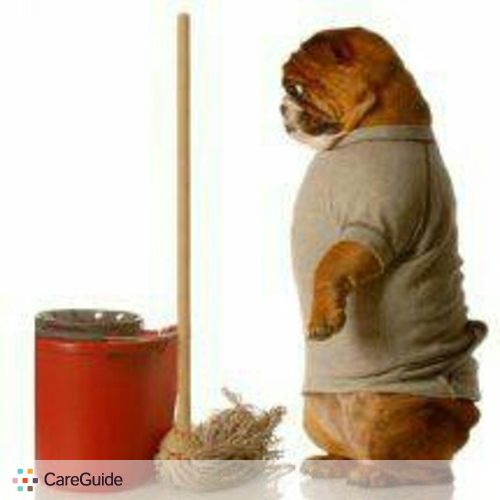 Housekeeper Provider Luis Higueros's Profile Picture