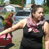 Careful House Sitting Professional in Federal Way, Washington