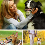 Affordable & Reliable Dog Walking/Sitting Service