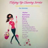 Redford, Michigan Home Cleaner