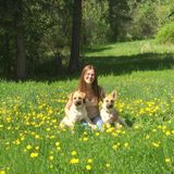 Trustworthy Animal Caregiver Available Immediately