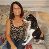 Very Loving and Reliable Pet Sitter - Available Immediately.