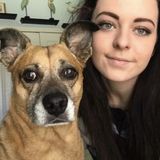Pet sitter
