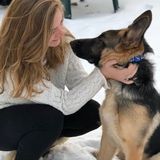 Accommodating Affable Animal Attendant