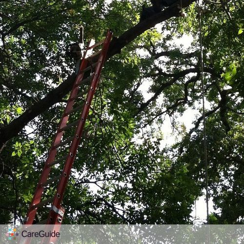 Handyman Provider James Morrissette's Profile Picture