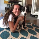 Responsible And Enthusiastic Pet Lover