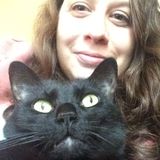 Short term pet sitter needed for sweet 13 year old cat!