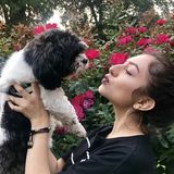 Honest Pet Service Provider for Your Home