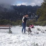 For Hire: Professional House Sitter in Palm Desert