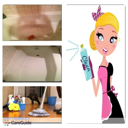 Housekeeper Provider Extraordinary Housekeeping's Profile Picture