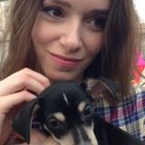 The very best care for your little furry (or scaly) family members