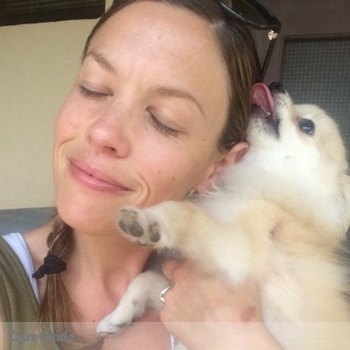 Pet Care Provider Heidi M's Profile Picture
