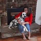 Animal Lover Looking For Part-Time Furry Friends!