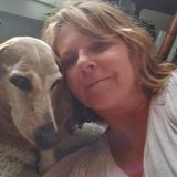 Available For a Pet Groomer Job in Pooler, Georgia