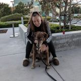 Flexible Dog Walking Available Now!