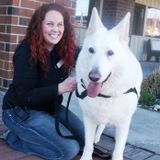 Responsible Animal Care taker with 15 years experience