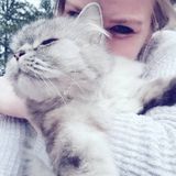 Searching for a Pet Service Provider Job in Netcong, New Jersey