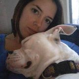 House Sitting Professional for Hire