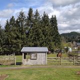 Horse Farm Sitter Needed in Woods Creek/Monroe, WA
